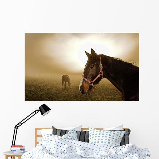 Horse in the Mist Wall Mural