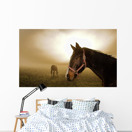 Horse in the Mist Wall Mural