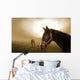 Horse in the Mist Wall Mural