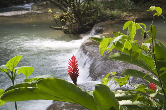 Ys River Waterfall Wall Decal Design 1