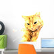Ginger Cat Wall Mural