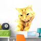 Ginger Cat Wall Mural