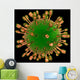 Rotavirus