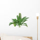 Mountain Palm