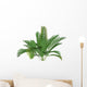 Mountain Palm