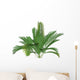 Mountain Palm