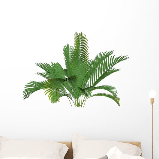 Mountain Palm