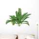 Mountain Palm
