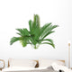 Mountain Palm