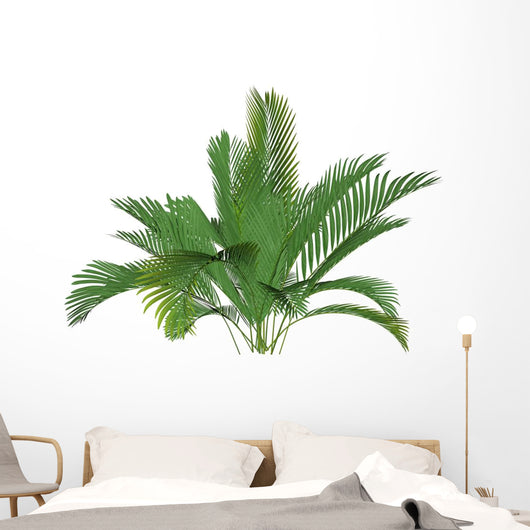 Mountain Palm