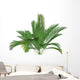 Mountain Palm
