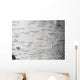 Birch bark - birch bark Wall Mural