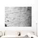 Birch bark - birch bark Wall Mural