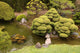 Japanese Tea Garden San Wall Decal