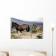 Two Horses Wall Mural