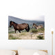Two Horses Wall Mural
