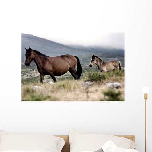 Two Horses Wall Mural