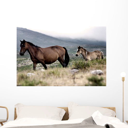 Two Horses Wall Mural