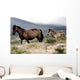 Two Horses Wall Mural