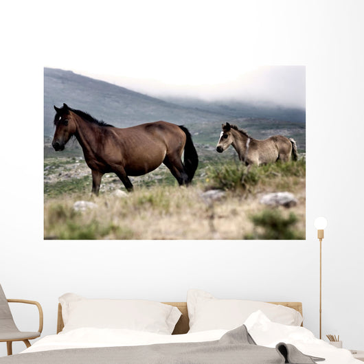 Two Horses Wall Mural