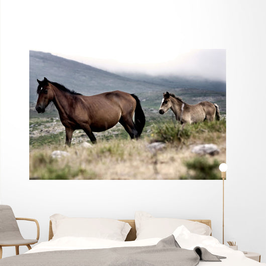 Two Horses Wall Mural