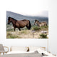 Two Horses Wall Mural