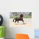 Horse Lusitano
