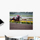 Race Horse Wall Mural