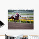 Race Horse Wall Mural