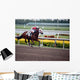 Race Horse Wall Mural