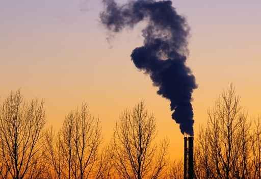 Environmental Pollution Wall Decal