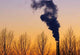 Environmental Pollution Wall Decal