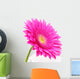 Gerbera Flower