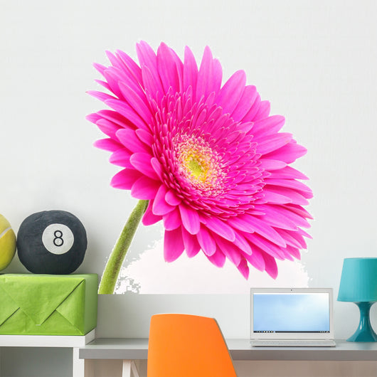 Gerbera Flower