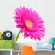Gerbera Flower