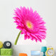 Gerbera Flower
