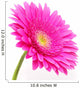 Gerbera Flower