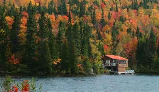 Cabane Au Canada Wall Decal