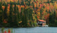 Cabane Au Canada Wall Decal