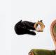 chat noir qui joue avec un jeune cobaye Wall Decal