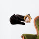 chat noir qui joue avec un jeune cobaye Wall Decal