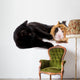 chat noir qui joue avec un jeune cobaye Wall Decal