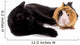chat noir qui joue avec un jeune cobaye Wall Decal
