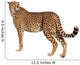 Zurckblickender Gepard