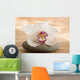 Zen Orchid