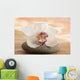 Zen Orchid