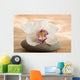 Zen Orchid