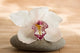 Zen Orchid