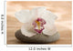 Zen Orchid