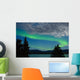 Aurora borealis (Northern lights) display Wall Mural